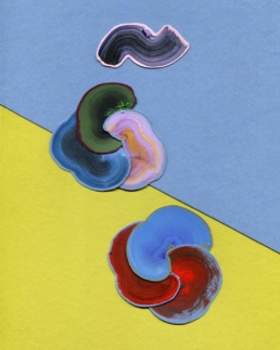 Robson Stannard