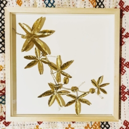 Wilderframe